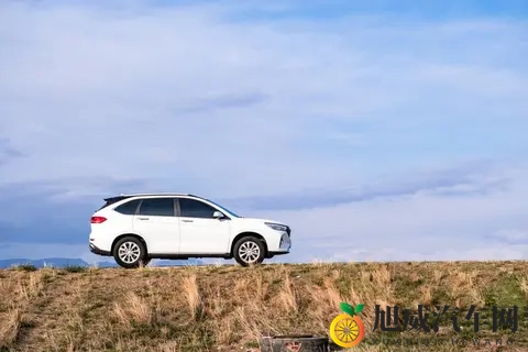 10万块买车钱，国产还是合资？这份避坑指南让你不花冤枉钱！-1