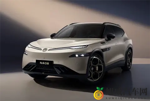 5米车长+800V快充，安徽大众“与众08”申报信息曝光-3