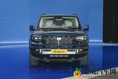 3929万，配360全景+5个毫米波雷达，这台纵横G700如何？-1