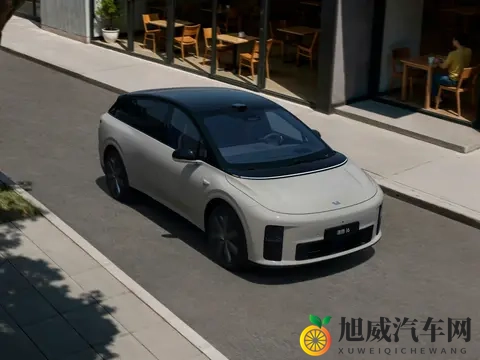 份额连续三月下滑，理想转战纯电，增程要亡？明年这些车要出大招-3