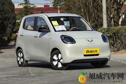 五菱宏光MINIEV选购手册-2