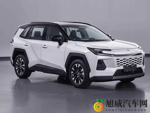 威兰达换新，油车不慌，混动更香-3