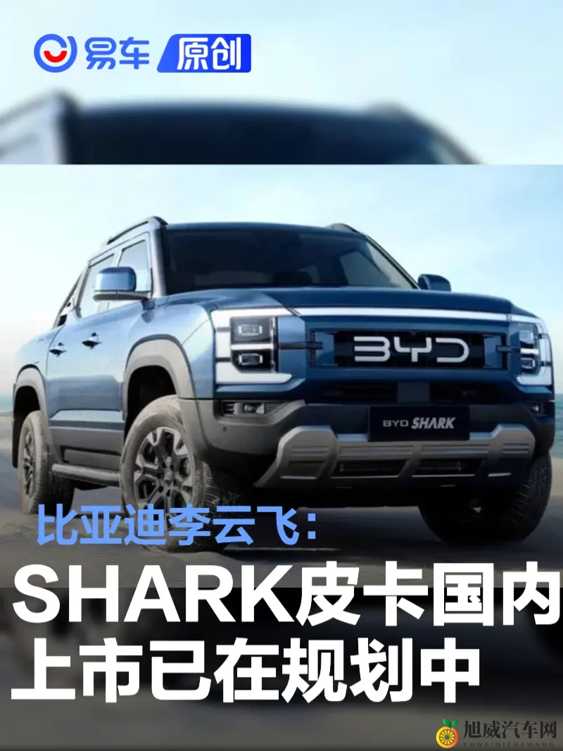 铿锵锵锵锵锵锵锵锵海外：海外汽车市场：本土崛起，新能源汽车领航未来-2