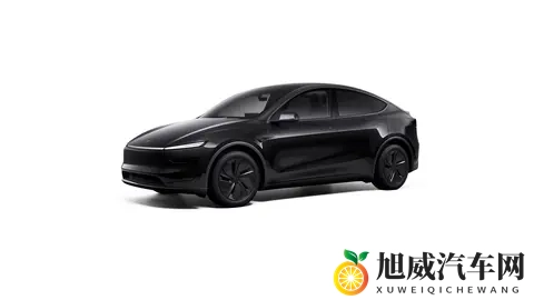 特斯拉Model Y长续航后驱版上市，821km续航，卖2885万元，值不值-2