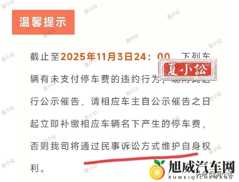 男生和女生打扑克软件：男女共乐，扑克软件竞技场-3