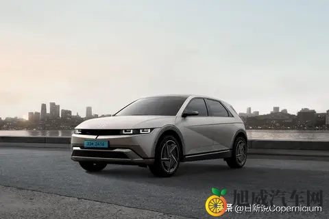 怕电池起火又嫌充电难，韩国车主犯了愁：政府画的大饼，太硌牙-3