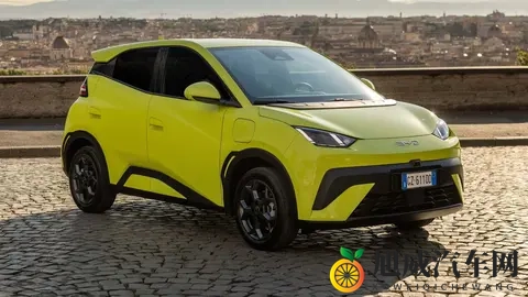 10月西班牙电动汽车销量:比亚迪首次登顶,海鸥847辆销量成销冠-1