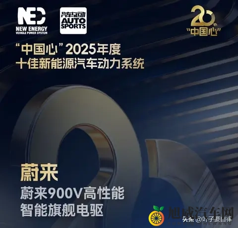 2025“中国心”榜单：燃油混动和纯电，谁才是真赢家？-1