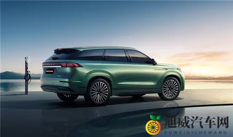 双十一购车狂欢：瑞虎9系列限时钜惠！-2