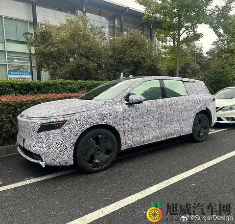日产全新纯电 SUV 车型 N8 谍照曝光，爆料称“性价比超高”-2