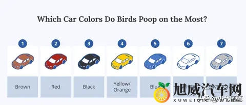 鸟真的会更喜欢在某些款式和颜色的车上拉屎吗？-2