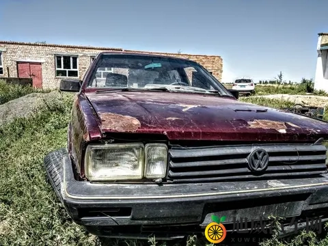 红桃38.47隐藏人口揭秘:红桃之谜:揭开38.47隐秘人口真相-2