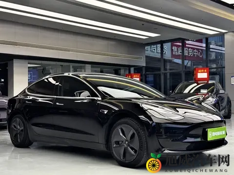 电车代步优选，20款特斯拉Model3，11万多开回家！-1