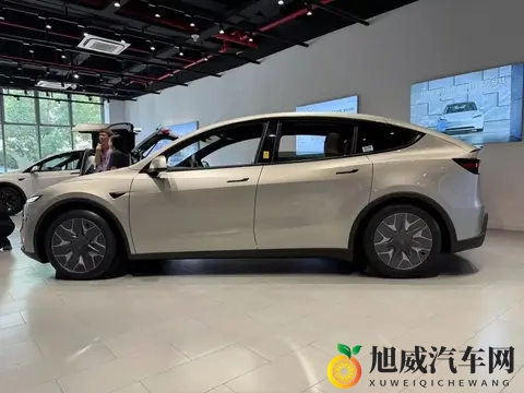 带爸妈去试特斯拉 Model Y L，说 “买 6 座车就图咱仨坐得舒服”。-1
