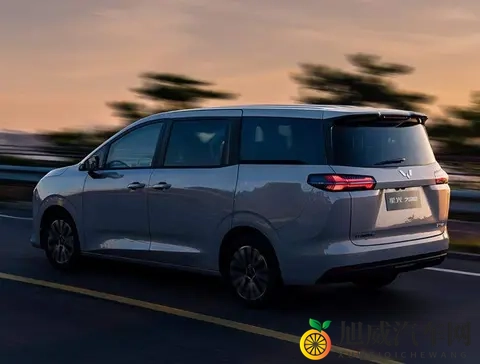 空间争夺战开打，六款MPV扎堆上市，谁在赌未来？-2