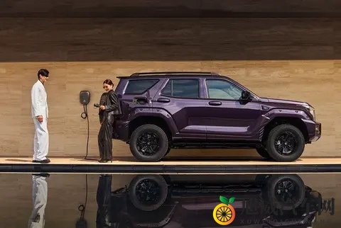 全新坦克400上市 零百加速最低仅43秒 2498万起售-3