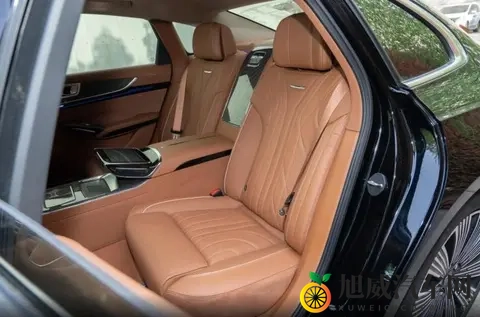 二十多万的豪华C级车，入门即高配，红旗H9选购指南来了-1