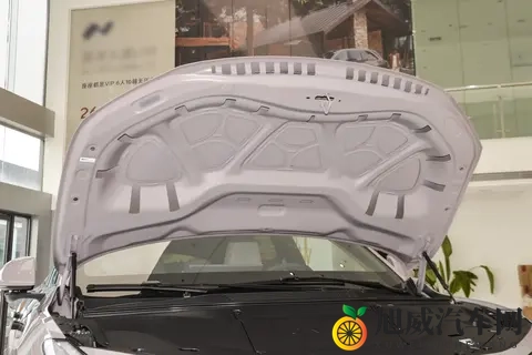 大六座豪华SUV新选择,作为后来者岚图泰山有何不同?-1