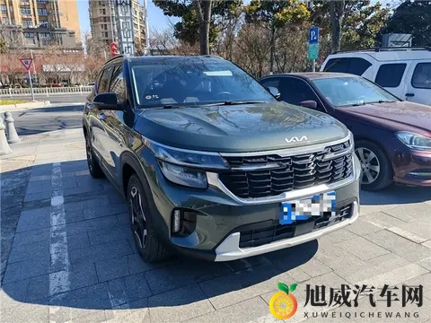 网络爆料免费吃瓜：免费瓜果等你来尝，网络爆料乐无边-2