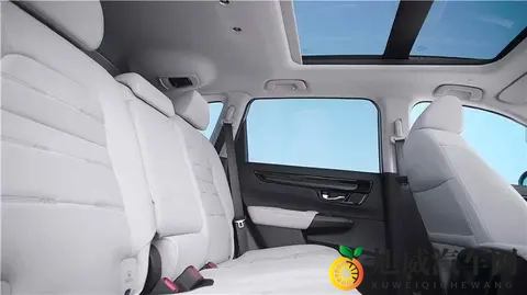 欧美激情区：欧美风情休闲区-3