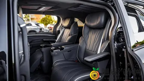 丰田赛那定制版亮相 配冰箱彩电大沙发 豪华感提升-2