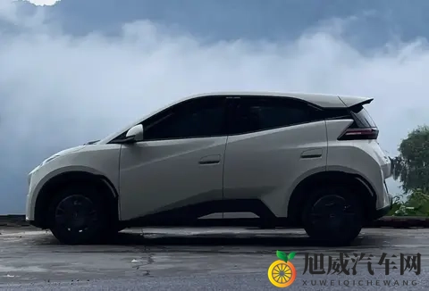 海豚优缺点大实话:买菜接娃超顺手,长途出行就露怯-1