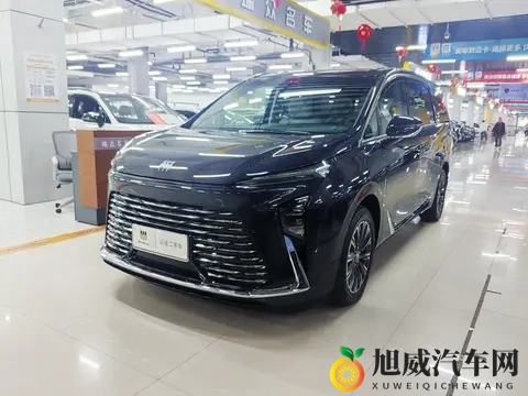 一手准新GL8陆尊:9千公里,宜商宜家的高端MPV之选!-3