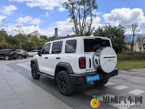 23年准新坦克300：20T挑战者，圆你越野梦！-3