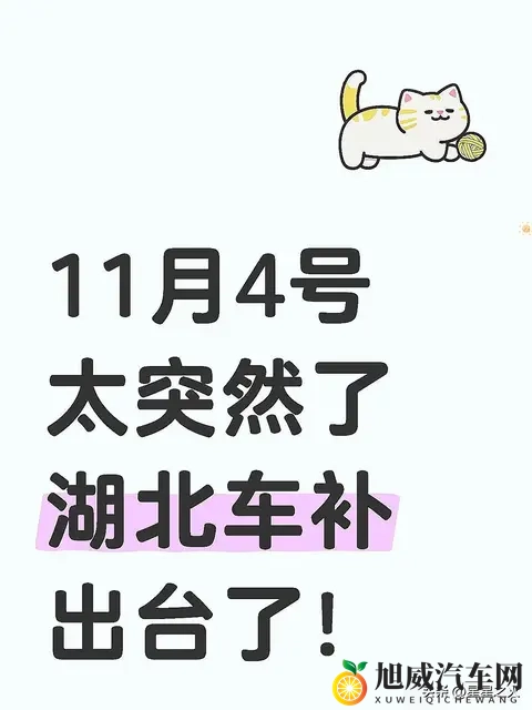 11月4号太突然了湖北车补出台了-1