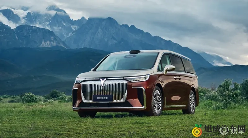 深耕“价值引领”赛道，岚图梦想家定义何为“高端MPV”-1