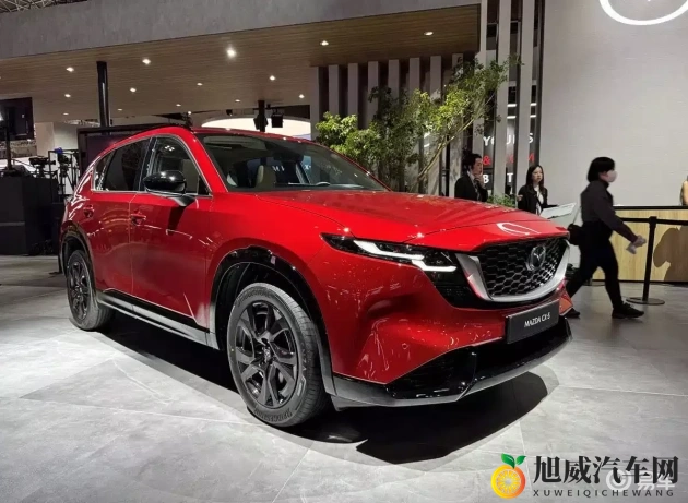 少妇与公豬交29：新能源汽车崛起，未来出行新纪元-2