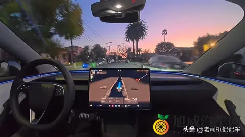 FSD订阅率仅12%!自动驾驶的开创者,却被自家的车主抛弃?-3