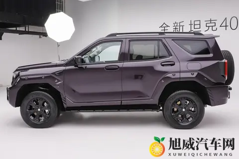 2498万元起，外观时尚硬朗，新款坦克400正式上市！-2