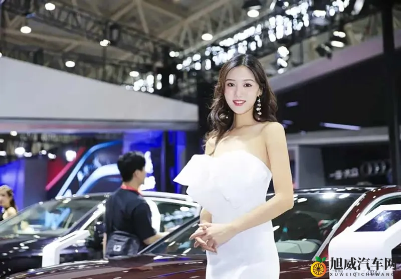 新势力的分化:从广州车展看各家生存之道-1