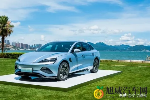 10月新能源车销量榜：零跑B10登顶，新势力改写行业秩序-1