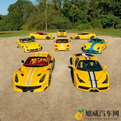 雪藏数十年如今全易主！菲尔·巴赫曼的48台传奇法拉利收藏将拍卖-2