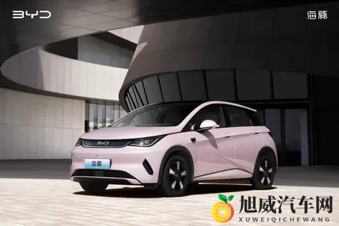 10万级，高阶智驾+冰箱，颜值还很高｜海豚如何选？-1