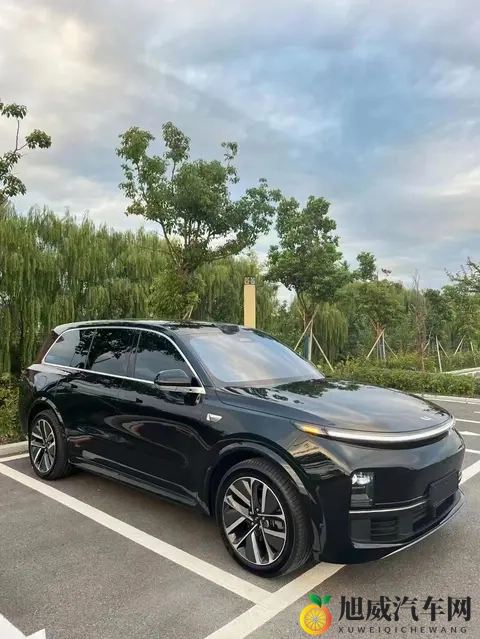 理想降价狂欢下,我摸了摸开了两个月的L8,有些真相不吐不快-3