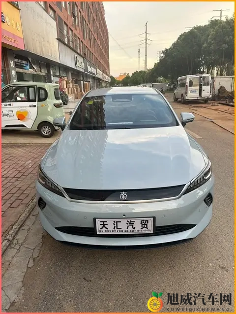 高岭家两姐妹动漫免费观看:新能源汽车崛起,汽车智能化与保养成焦点-2