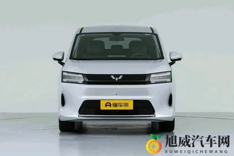 10万级家用MPV标杆！空间大，电滑门，三动力，安全舒适-2