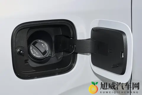 10万级MPV怎么选？家用就看这款，真7座大空间+插混动力-1