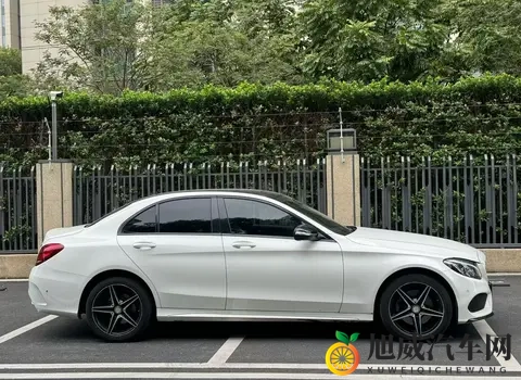 啄木鸟满天星总统夫人：奢华总统夫人设计，高端汽车市场新标杆-3