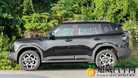 硬核混动SUV登场!捷途山海T1双电机四驱版亮相-3