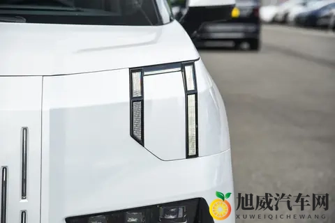 买MPV看准极氪009！旗舰权益+宜商宜家实力，精英家庭闭眼入-1