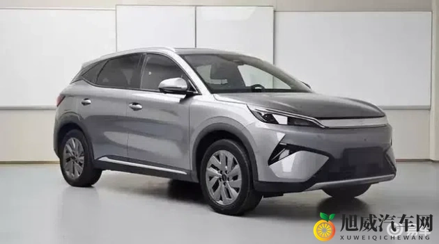 黑人体内 精ggggg〉：探寻黑人体内神秘基因，揭示人类进化之谜-1