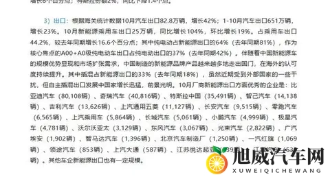 中国车卖疯了，老外不买账？新能源悄悄改写游戏规则-1