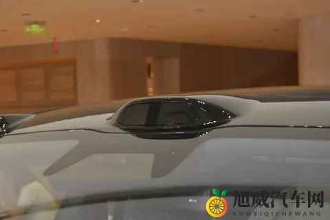 蔚来ET9地平线特别版：国产高端旗舰轿车，不输传统豪华车？-1