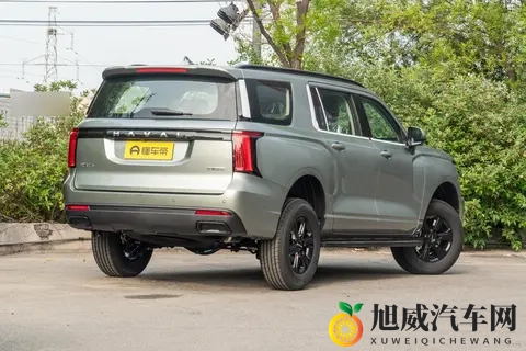 能拉货能越野，价格是坦克300的一半，配20T+8AT，分时四驱-2