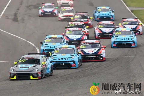 天天干,天天干:电动汽车新纪元:特斯拉比亚迪领跑,智能驾驶革命来临-2