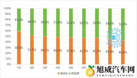 欧美浓毛老太大泬毛茸茸:欧美浓毛老年女性形象独特,毛茸茸造型引人注目-1